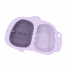 Divided Plate